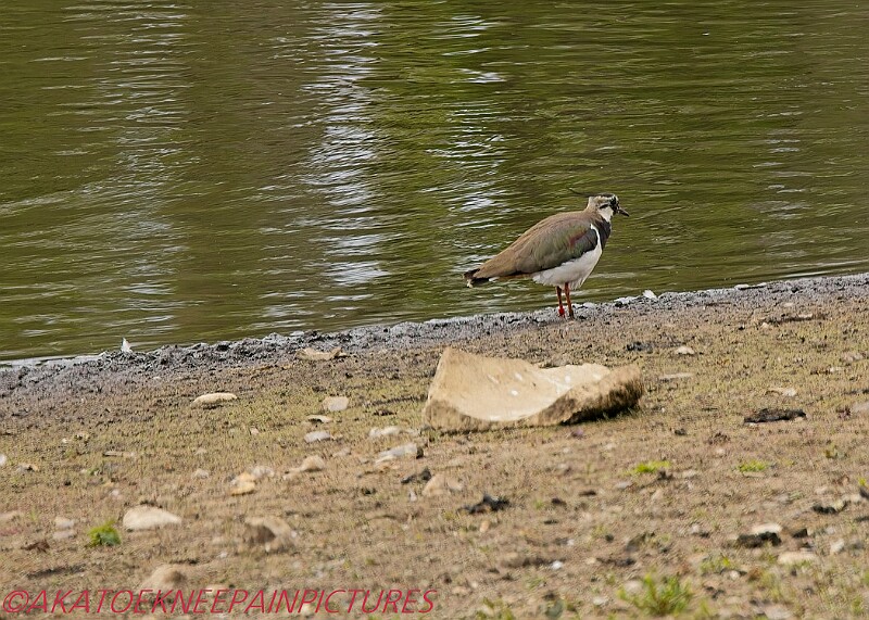 20250522PENSMAY00147A.JPG