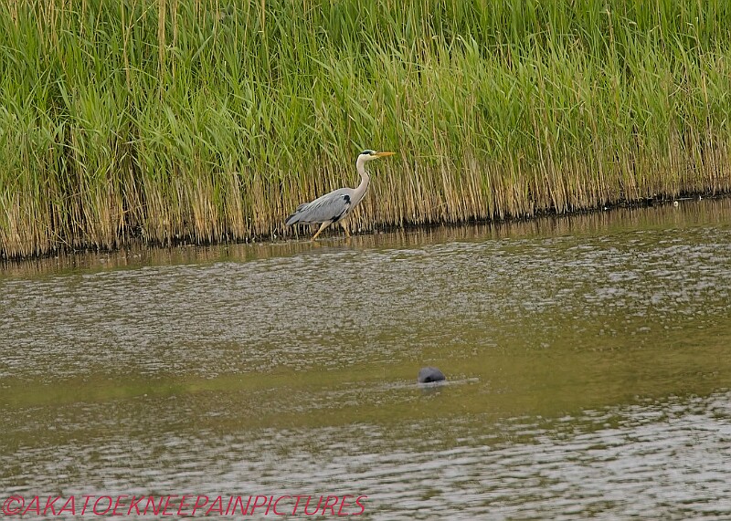 20250522PENSMAY00201A.JPG