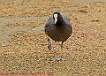 20250522PENSMAY00001A