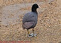 20250522PENSMAY00006A