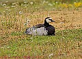 20250522PENSMAY00012A