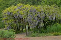 20250522PENSMAY00013A