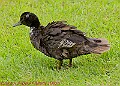 20250522PENSMAY00022A