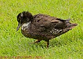 20250522PENSMAY00024A