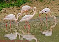 20250522PENSMAY00032A