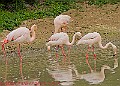 20250522PENSMAY00034A