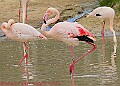 20250522PENSMAY00053A