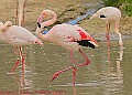20250522PENSMAY00054A