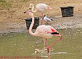 20250522PENSMAY00063A