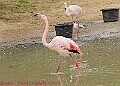 20250522PENSMAY00064A