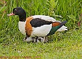 20250522PENSMAY00071A