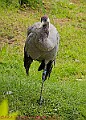 20250522PENSMAY00079A