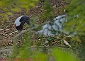 20250522PENSMAY00086A