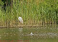 20250522PENSMAY00091A