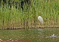 20250522PENSMAY00092A