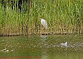 20250522PENSMAY00099A
