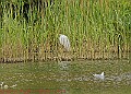 20250522PENSMAY00100A