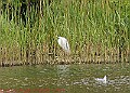 20250522PENSMAY00101A