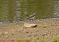 20250522PENSMAY00120A