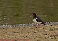 20250522PENSMAY00125A