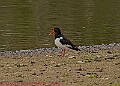 20250522PENSMAY00126A