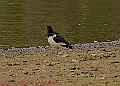 20250522PENSMAY00129A
