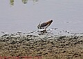 20250522PENSMAY00133A