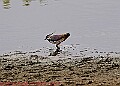 20250522PENSMAY00134A