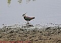 20250522PENSMAY00137A