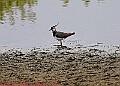 20250522PENSMAY00139A
