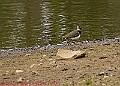 20250522PENSMAY00143A