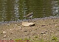 20250522PENSMAY00146A