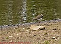 20250522PENSMAY00147A