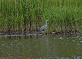 20250522PENSMAY00161A