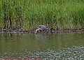 20250522PENSMAY00167A