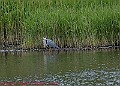 20250522PENSMAY00171A