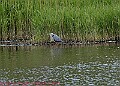 20250522PENSMAY00174A