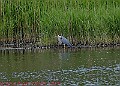 20250522PENSMAY00176A