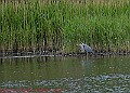 20250522PENSMAY00177A