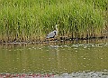 20250522PENSMAY00178A