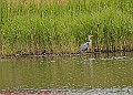 20250522PENSMAY00180A