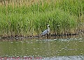 20250522PENSMAY00184A
