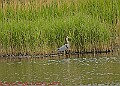 20250522PENSMAY00186A