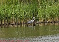 20250522PENSMAY00190A