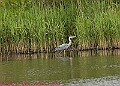 20250522PENSMAY00191A