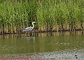 20250522PENSMAY00192A