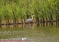 20250522PENSMAY00199A