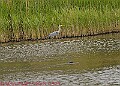 20250522PENSMAY00201A