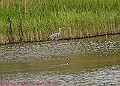 20250522PENSMAY00202A