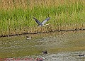 20250522PENSMAY00208A